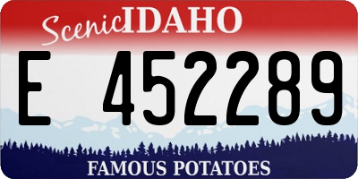 ID license plate E452289