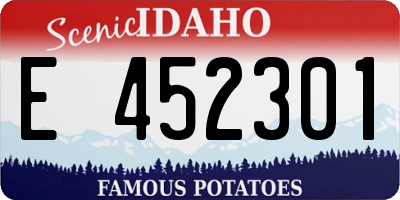 ID license plate E452301