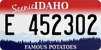 ID license plate E452302