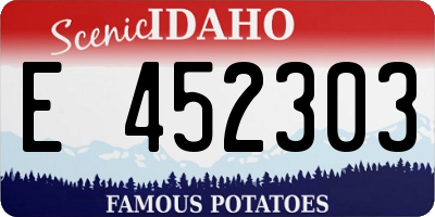 ID license plate E452303