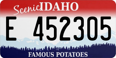ID license plate E452305