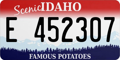 ID license plate E452307