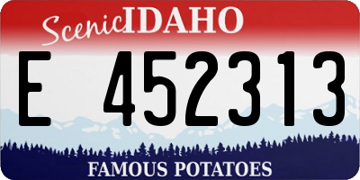 ID license plate E452313