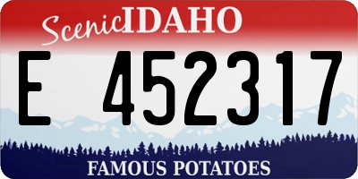 ID license plate E452317
