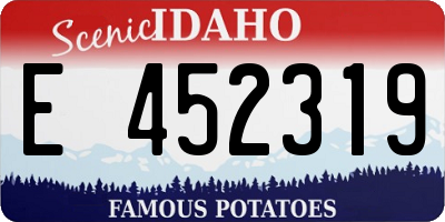 ID license plate E452319