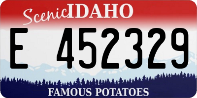 ID license plate E452329