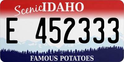 ID license plate E452333