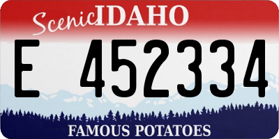 ID license plate E452334