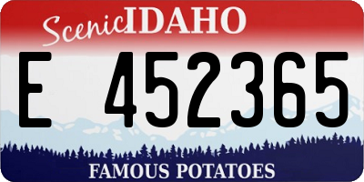 ID license plate E452365