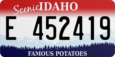 ID license plate E452419