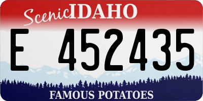 ID license plate E452435