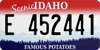 ID license plate E452441