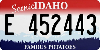 ID license plate E452443