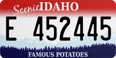 ID license plate E452445
