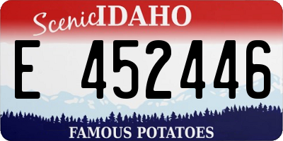 ID license plate E452446