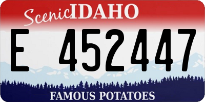 ID license plate E452447