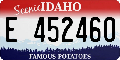 ID license plate E452460