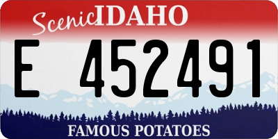 ID license plate E452491