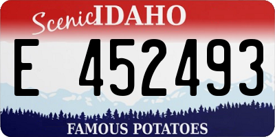 ID license plate E452493