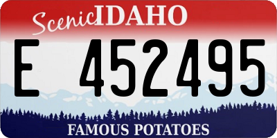 ID license plate E452495