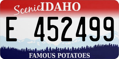 ID license plate E452499