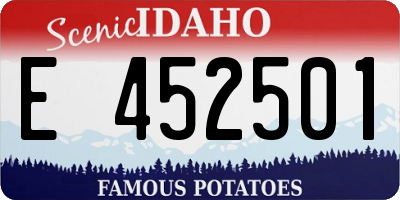 ID license plate E452501