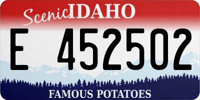ID license plate E452502