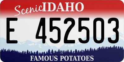 ID license plate E452503