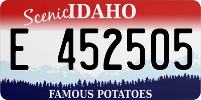 ID license plate E452505