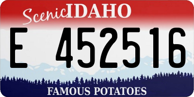 ID license plate E452516