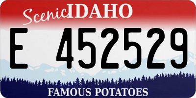 ID license plate E452529