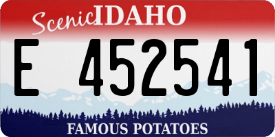 ID license plate E452541
