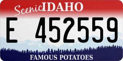 ID license plate E452559