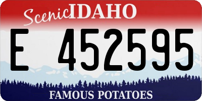 ID license plate E452595