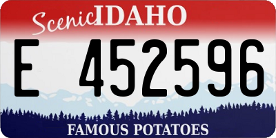 ID license plate E452596
