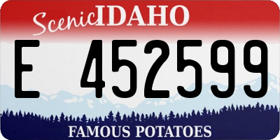 ID license plate E452599