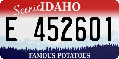 ID license plate E452601