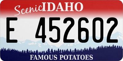 ID license plate E452602