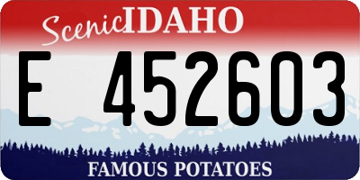 ID license plate E452603