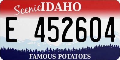 ID license plate E452604