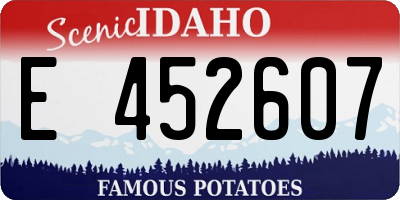 ID license plate E452607