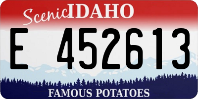 ID license plate E452613