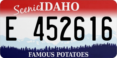 ID license plate E452616