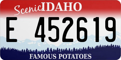 ID license plate E452619