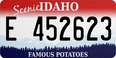 ID license plate E452623