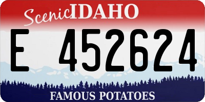 ID license plate E452624