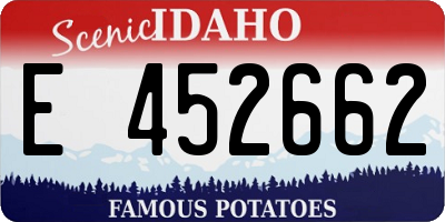 ID license plate E452662