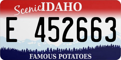 ID license plate E452663