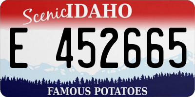 ID license plate E452665