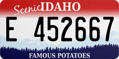 ID license plate E452667